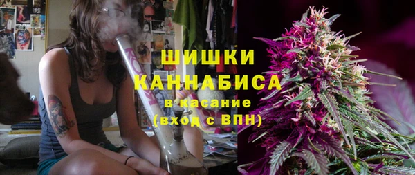 ECSTASY Ладушкин