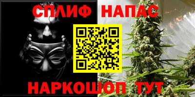МДПВ Гатчина