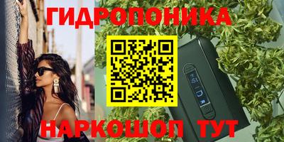 PSILOCYBIN Гусь-Хрустальный