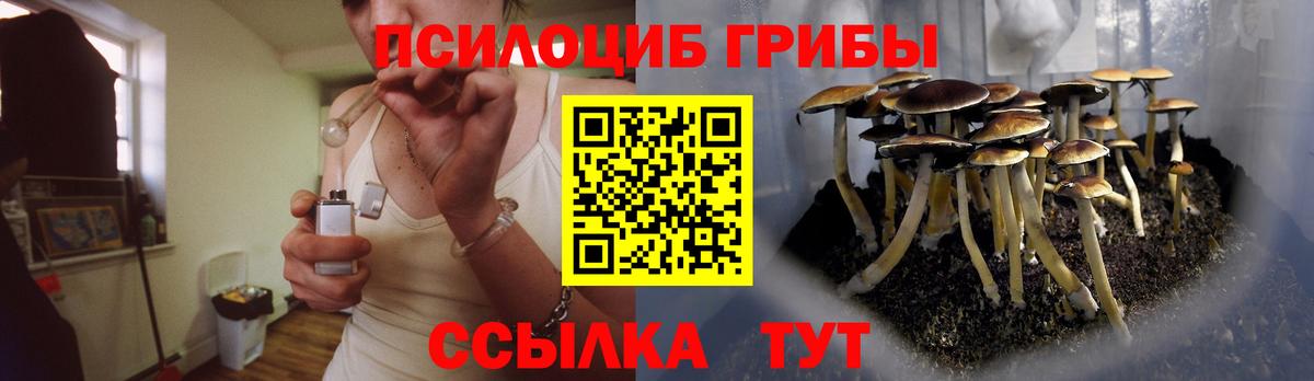 Галлюциногенные грибы прущие грибы  Вход с VPN  Обнинск 